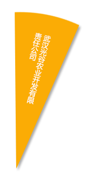 威客电竞·(中国)VKGAME