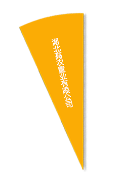 威客电竞·(中国)VKGAME