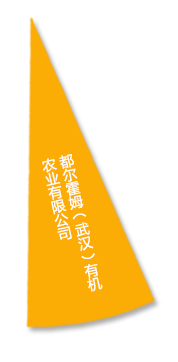 威客电竞·(中国)VKGAME