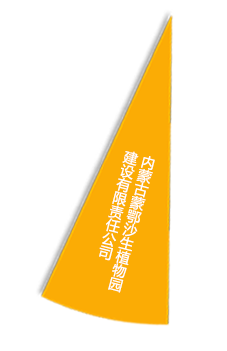 威客电竞·(中国)VKGAME
