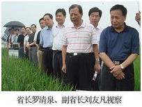 威客电竞·(中国)VKGAME