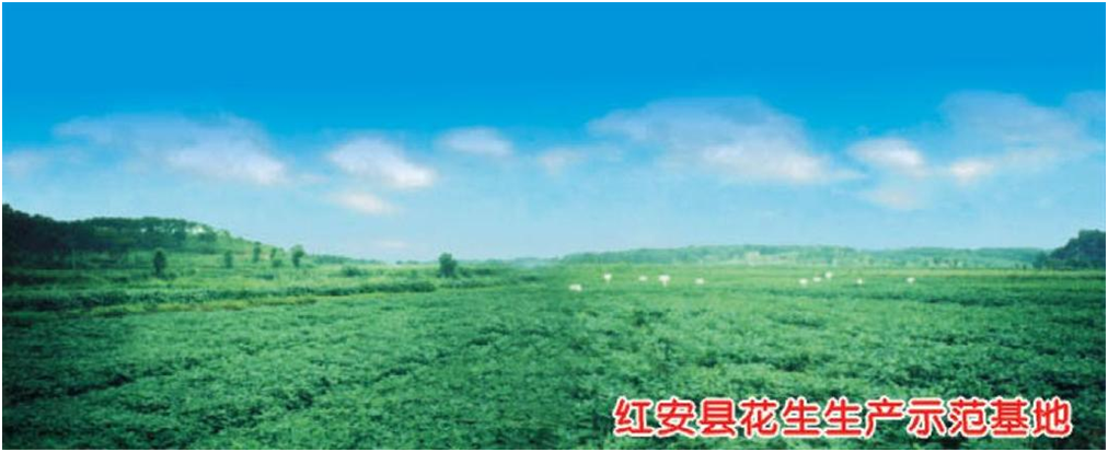 威客电竞·(中国)VKGAME