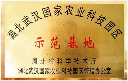 威客电竞·(中国)VKGAME