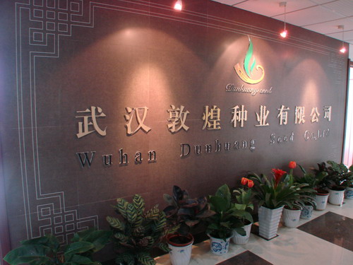 威客电竞·(中国)VKGAME
