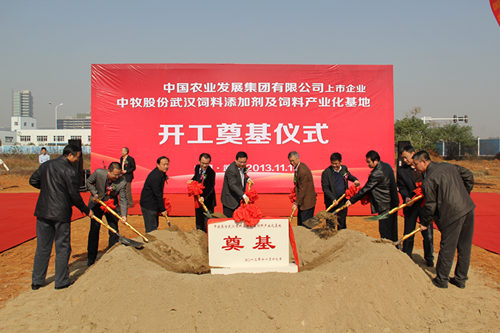 威客电竞·(中国)VKGAME