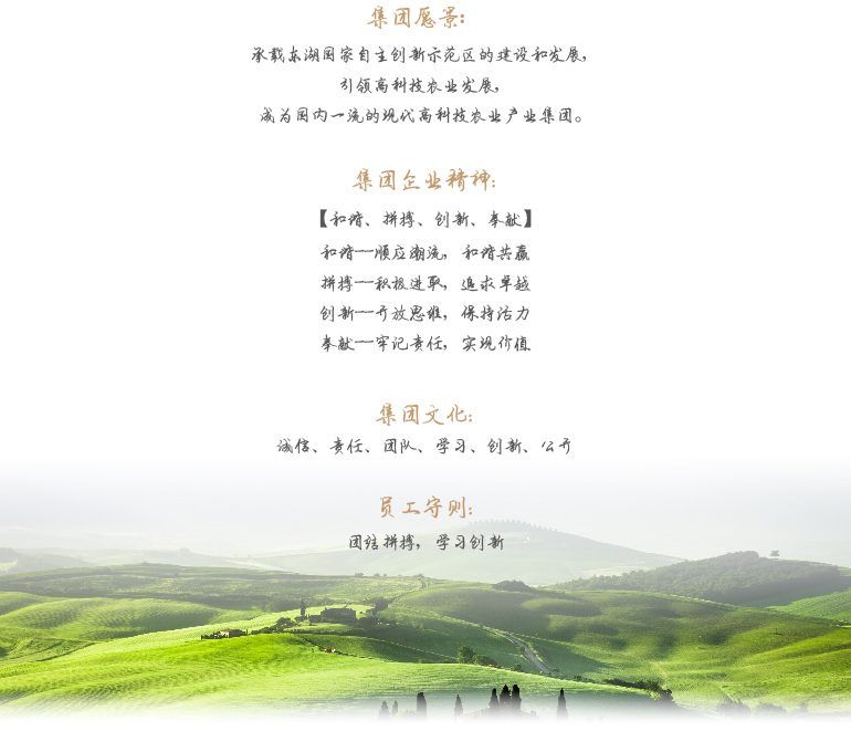 威客电竞·(中国)VKGAME