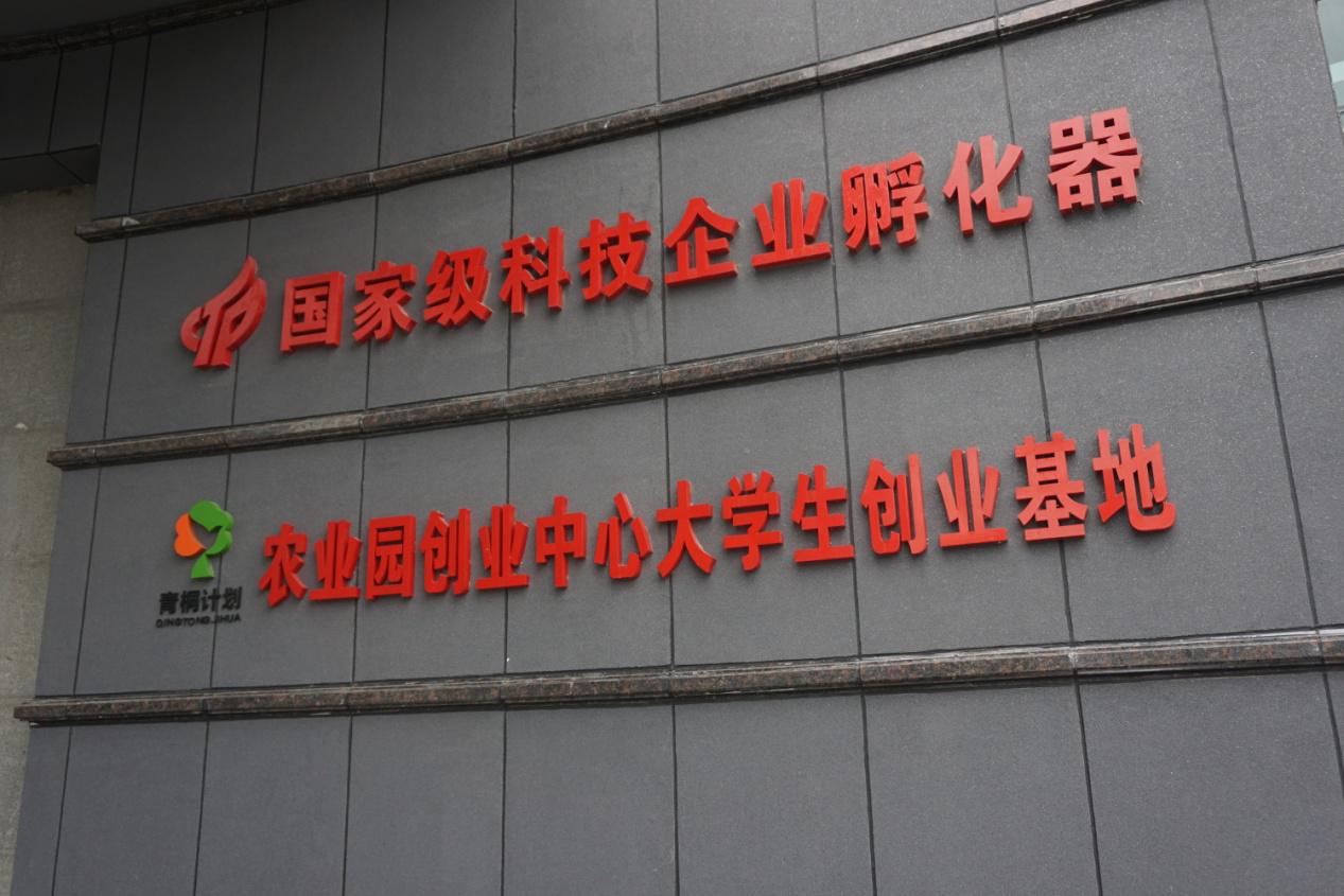 威客电竞·(中国)VKGAME