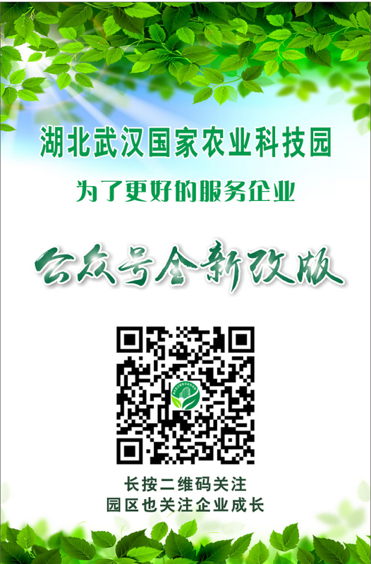威客电竞·(中国)VKGAME