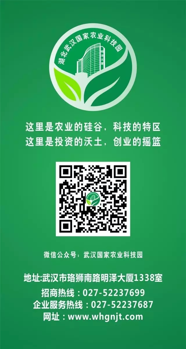威客电竞·(中国)VKGAME