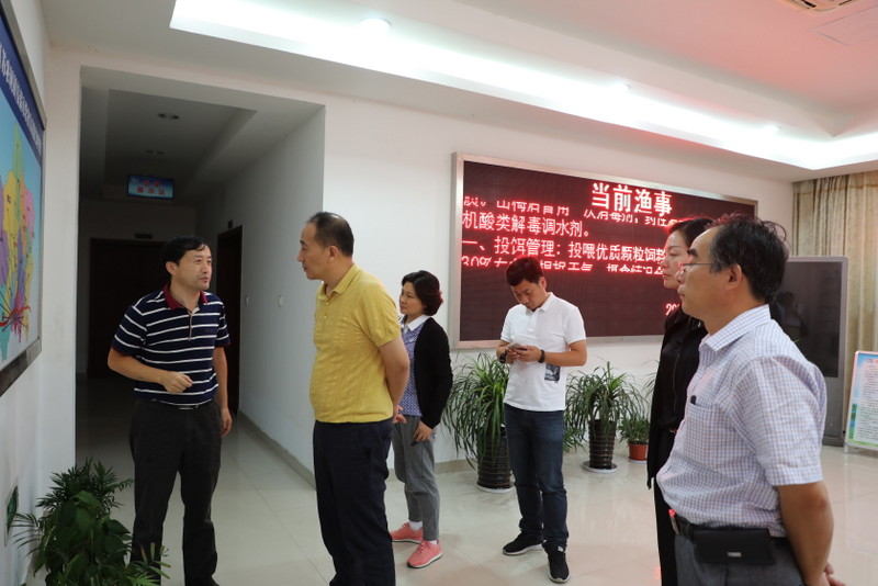 威客电竞·(中国)VKGAME
