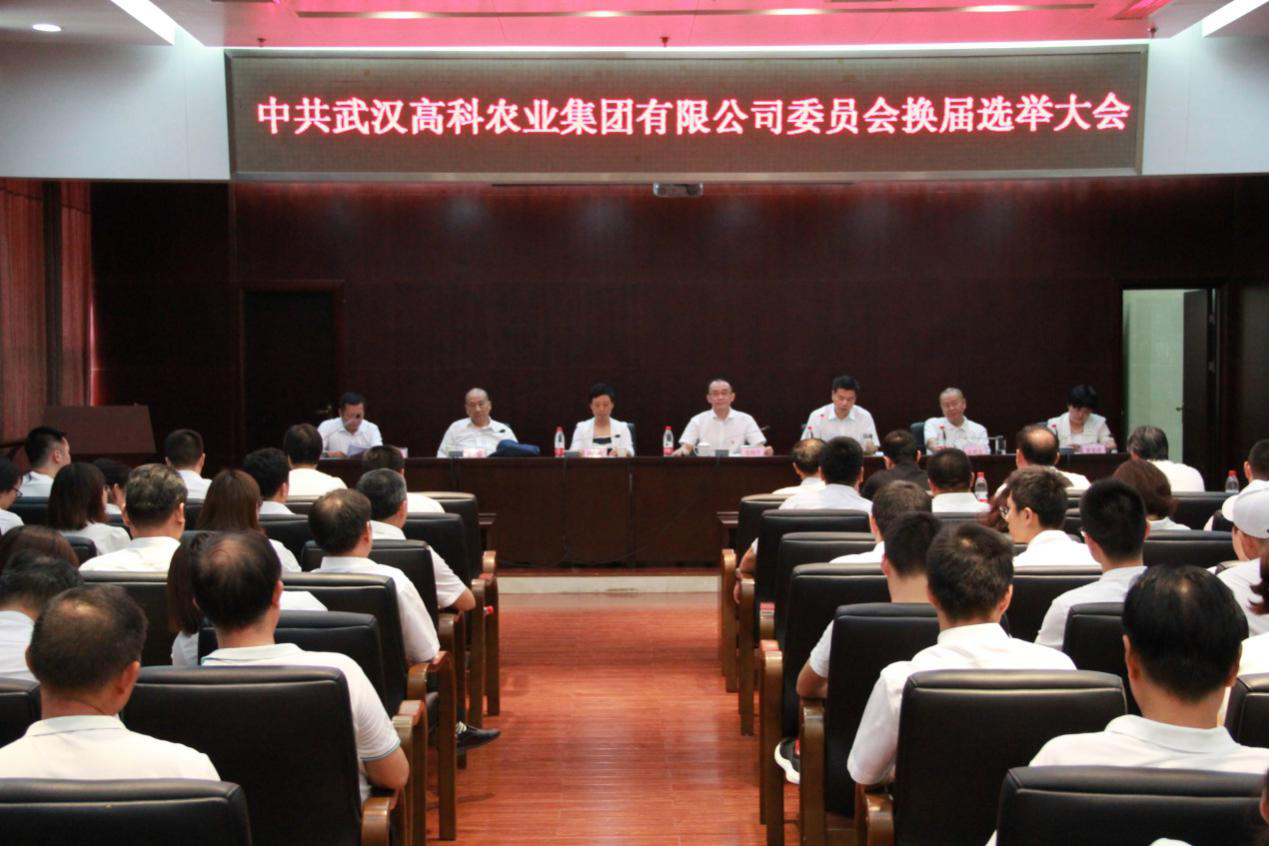 威客电竞·(中国)VKGAME
