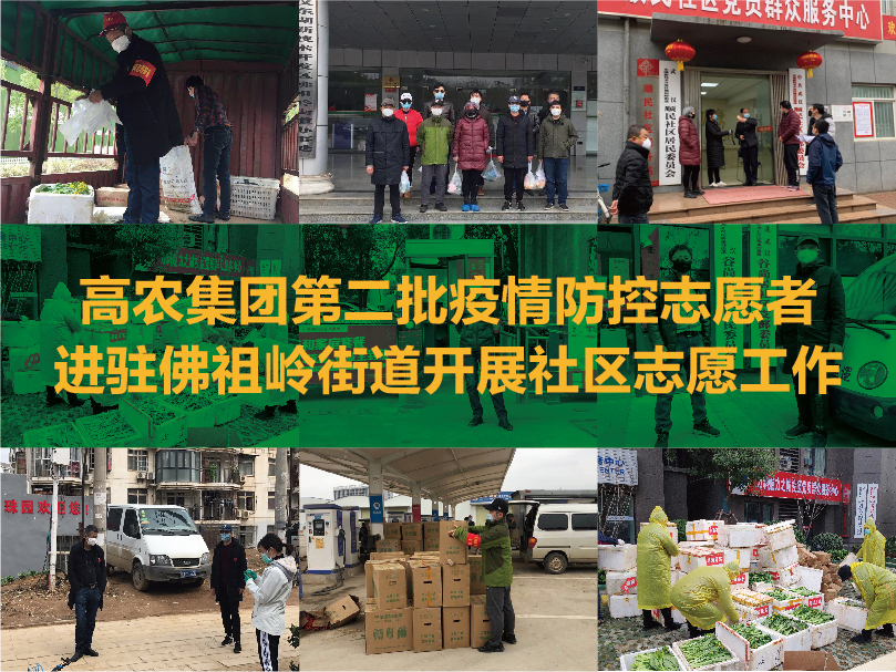 威客电竞·(中国)VKGAME