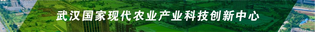 威客电竞·(中国)VKGAME