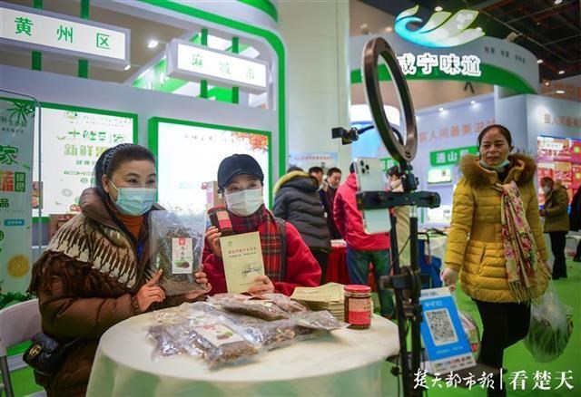 威客电竞·(中国)VKGAME